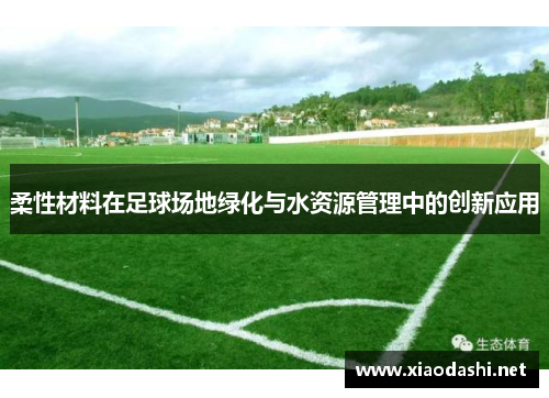 柔性材料在足球场地绿化与水资源管理中的创新应用