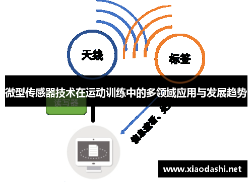 微型传感器技术在运动训练中的多领域应用与发展趋势